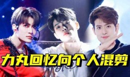 韩网男团爆料视频大全集,揭秘视频大全集精彩瞬间